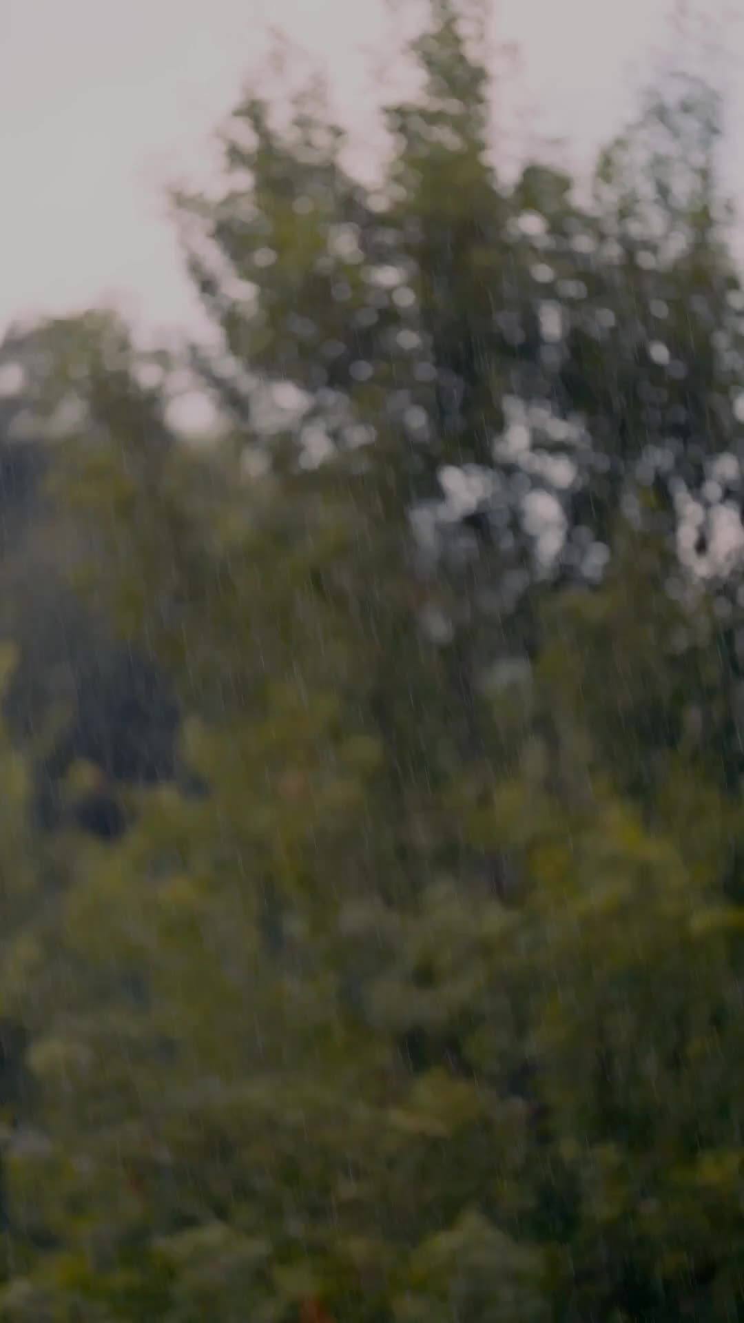 19 серия - Kok Takut Sama Bahasa Inggris